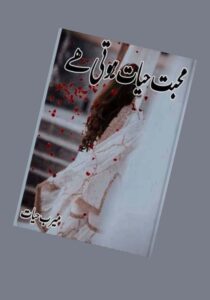 Read more about the article Mohabbat Hayat Hoti Novel By Meerab Hayat (PDF Download)