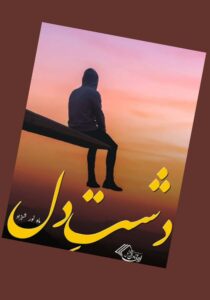 Read more about the article Dasht E Dil Novel By Mahnoor Shahzad (PDF Download)