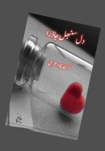 Read more about the article Dil Sambhal Ja Zara Novel By Kiran Chaudhry (PDF Download)