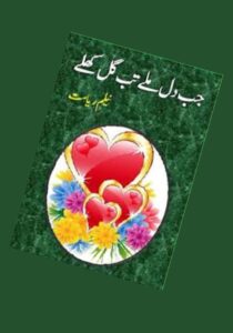 Read more about the article Jab Dil Mile Tab Gul Khile Novel By Neelum Riasat (PDF Download)