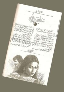 Read more about the article Saltanat E Dil Novel by Maryam Aziz ( PDF Download)