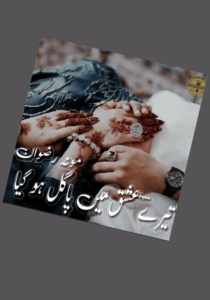 Read more about the article Tere Ishq Mein Pagal Ho Gaya Novel By Mona Rizwan (PDF Download)