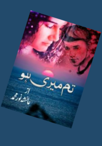 Read more about the article Tum Meri Ho Novel by Ayesha Noor Mohammed (PDF Download)