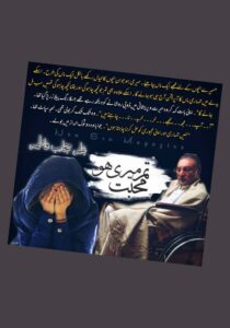 Read more about the article Tum Meri Mohabbat Ho Novel by Hijab Fatima (PDF Download)