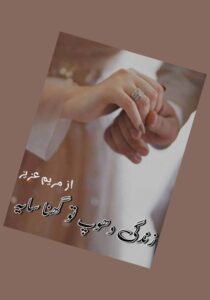 Read more about the article Zindagi Dhoop Tum Ghana Saya Novel by Maryam Aziz (PDF Download)