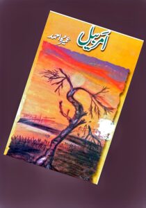 Read more about the article Amar Bail Novel By Umera Ahmed (PDF Download)