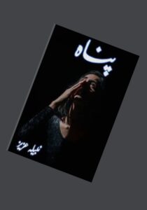 Read more about the article Panah Novel By Nabila Aziz (PDF Download)